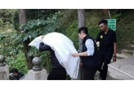 沛县工资清欠服务